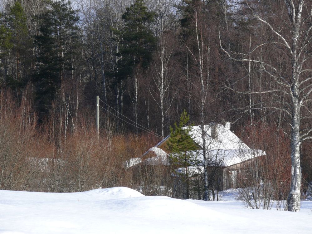 Photo #5753001