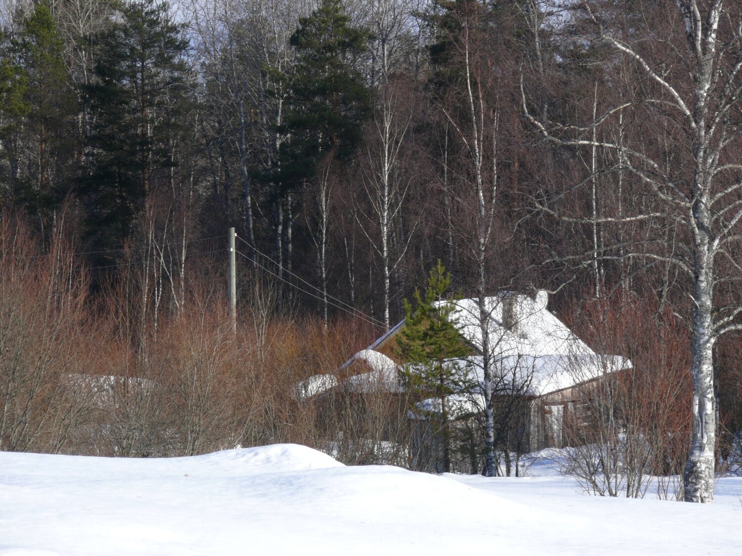 Photo #5753001