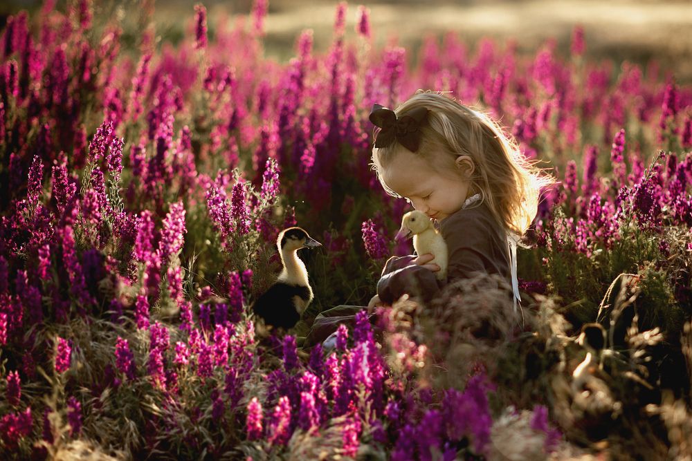 Photograph by Надежда Кураж