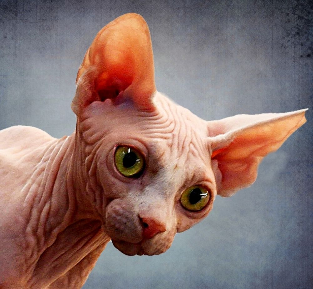 Photograph by Дмитрий Розенбаум