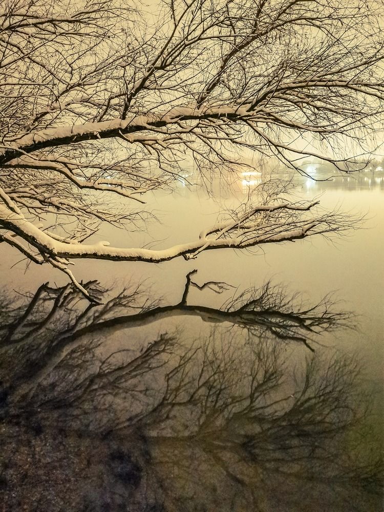 Photograph by Srđan Doroški