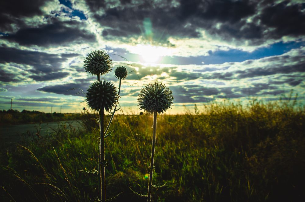 Photograph by Богдан Прохоренко