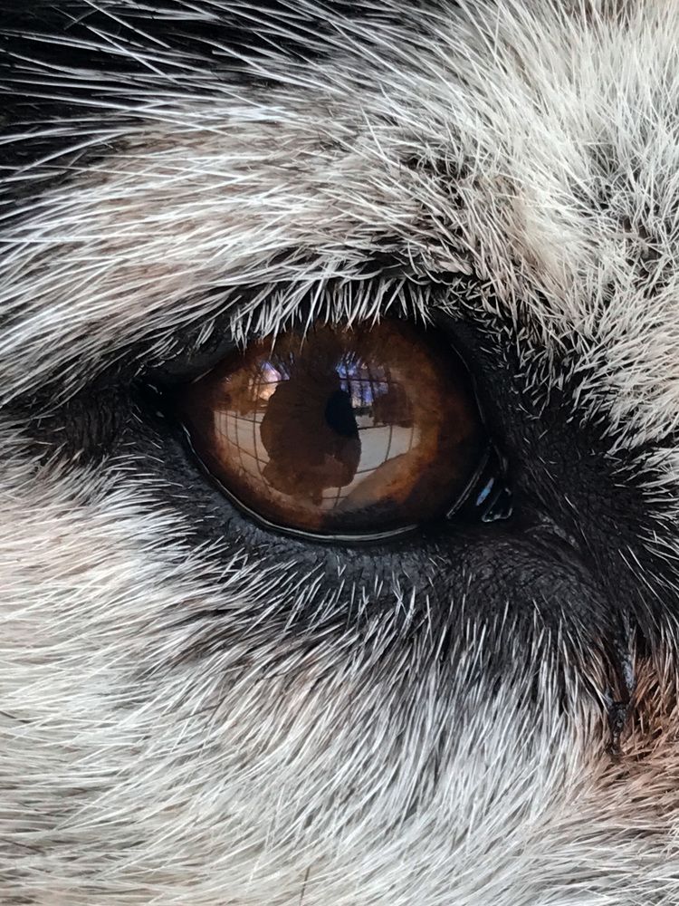 Photograph by Наталья Перерва