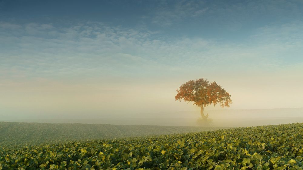 Photograph by Lukasz Zugaj