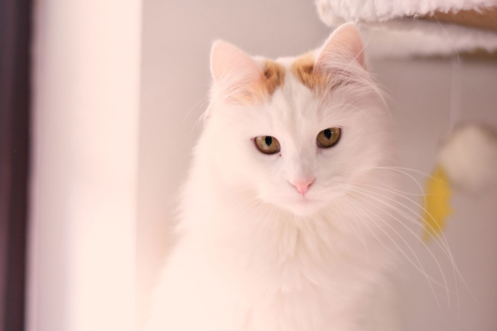 Photograph by Tjaša Završnik