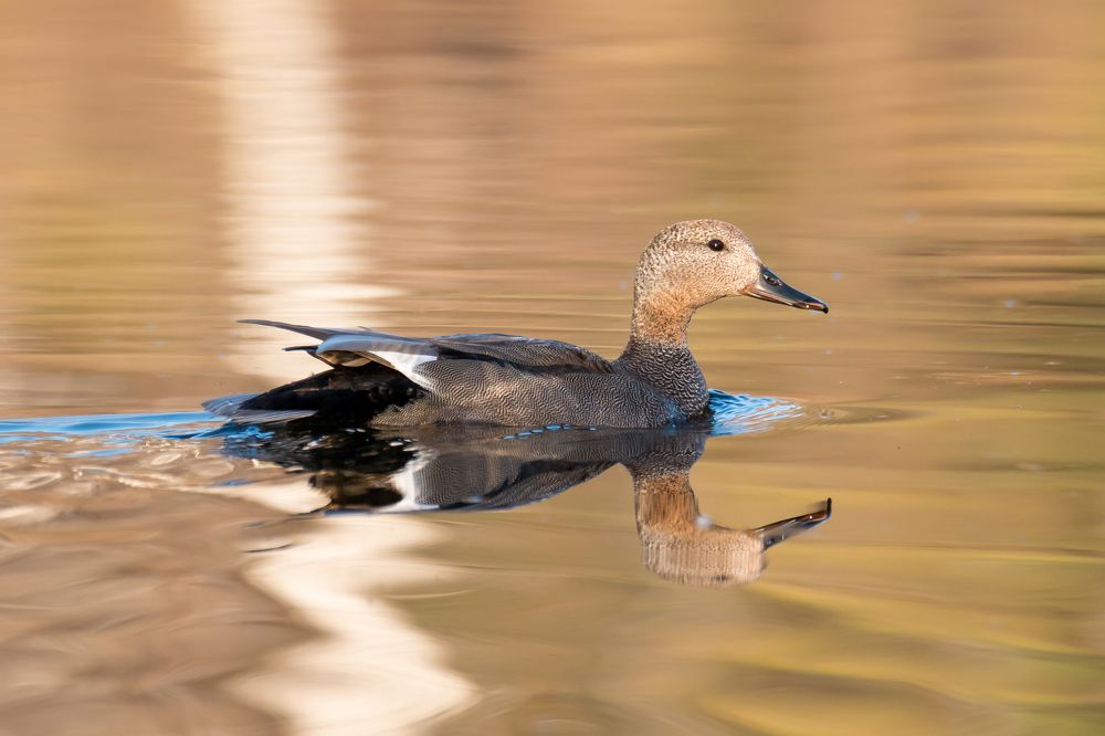 Photograph by Дина Нестеркова