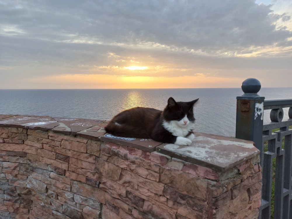 Photograph by Людмила Протасова