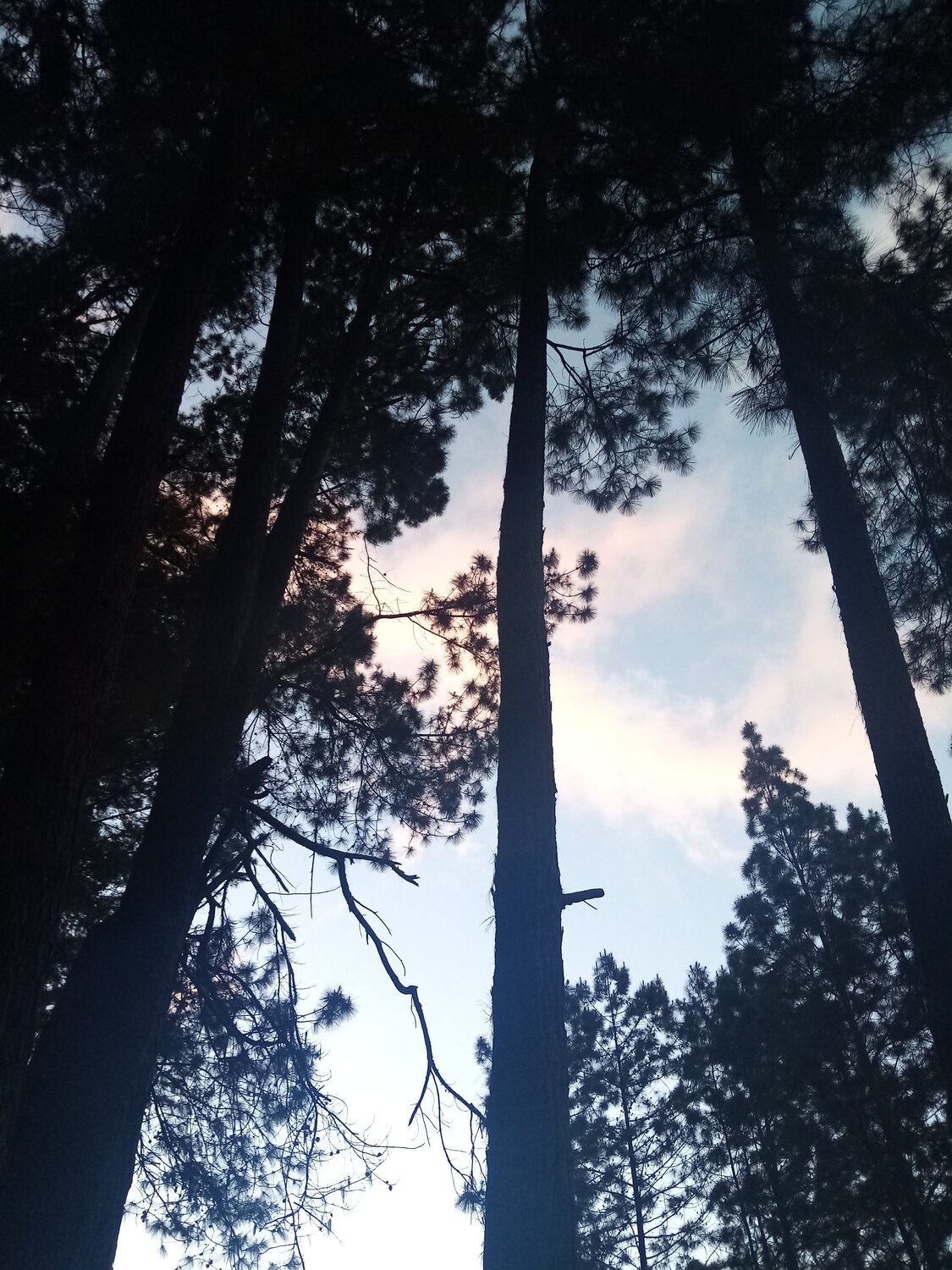 Photo #5753213