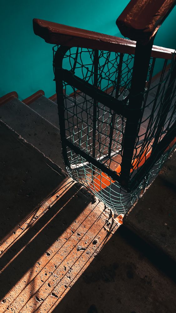 Фотография автора Дамир Фархшатов