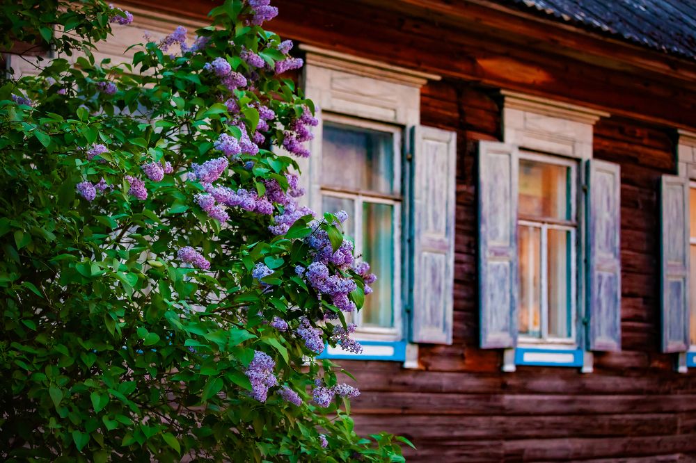 Photograph by Nika Litus