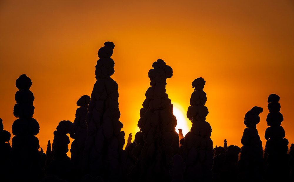 Зимняя Лапландия.