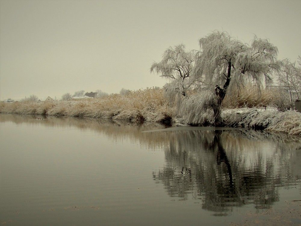 Photograph by Тамара Погост