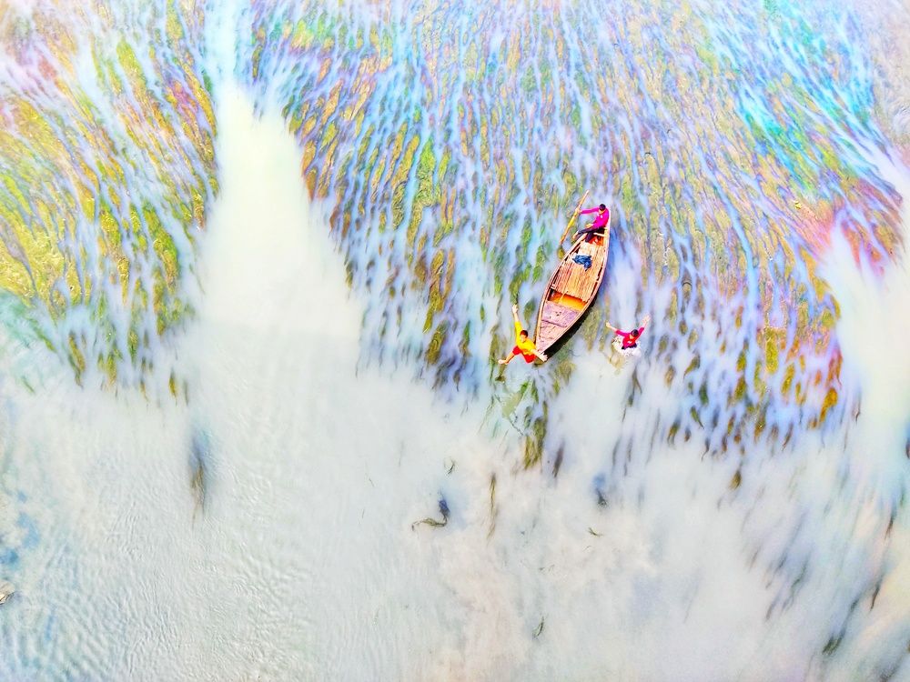 Photograph by Rashed  ul islam