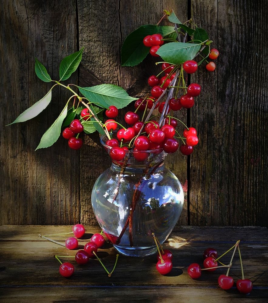 Photograph by Елена Павлова