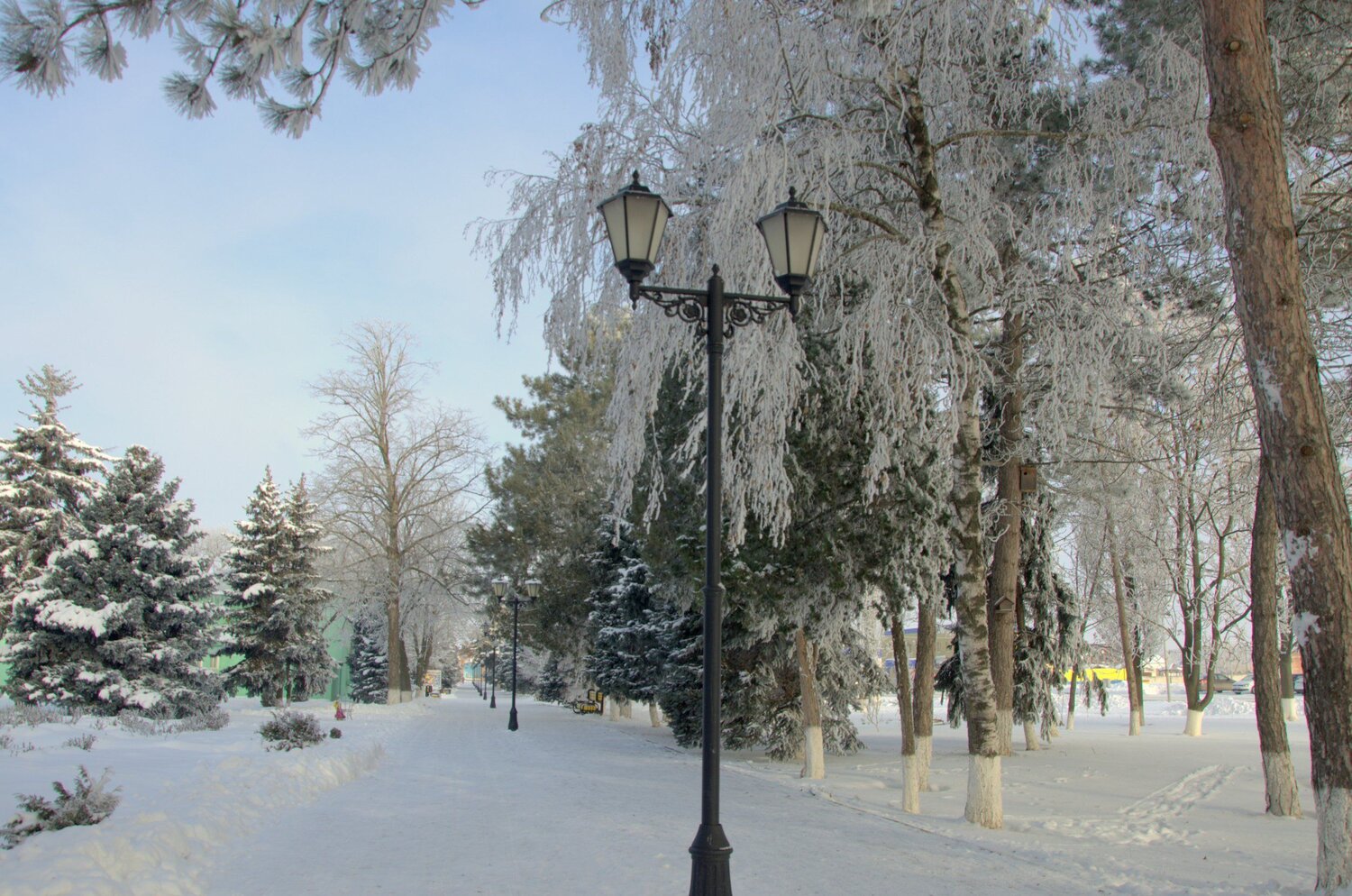 Photo #5753488