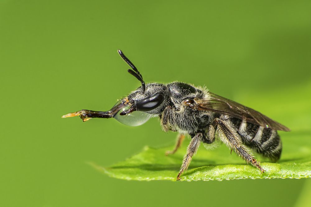 Photograph by Mukesh Tripathi