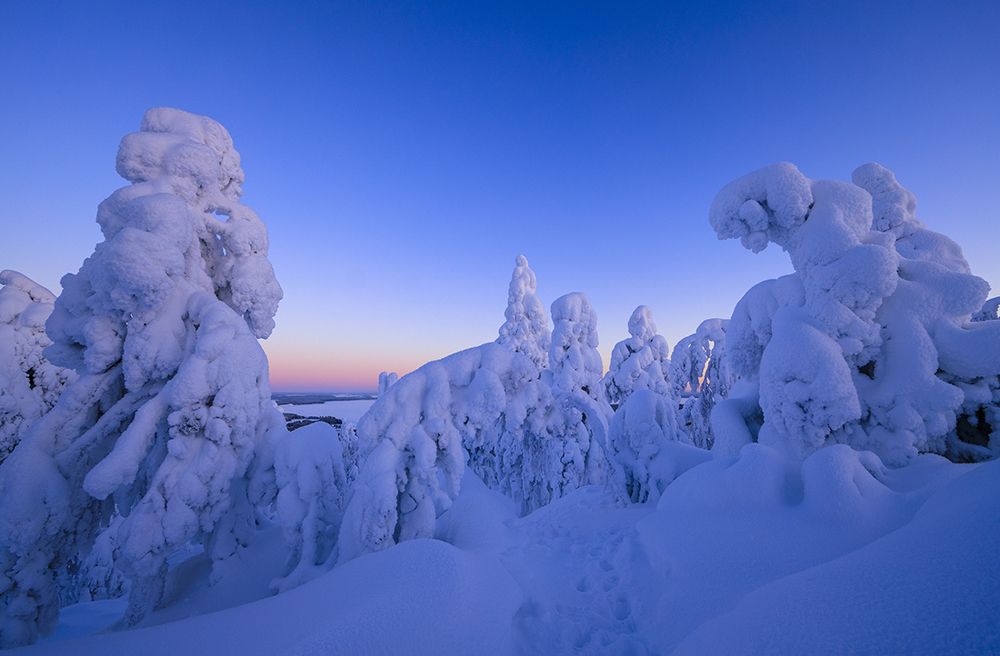 Photograph by Valtteri Mulkahainen