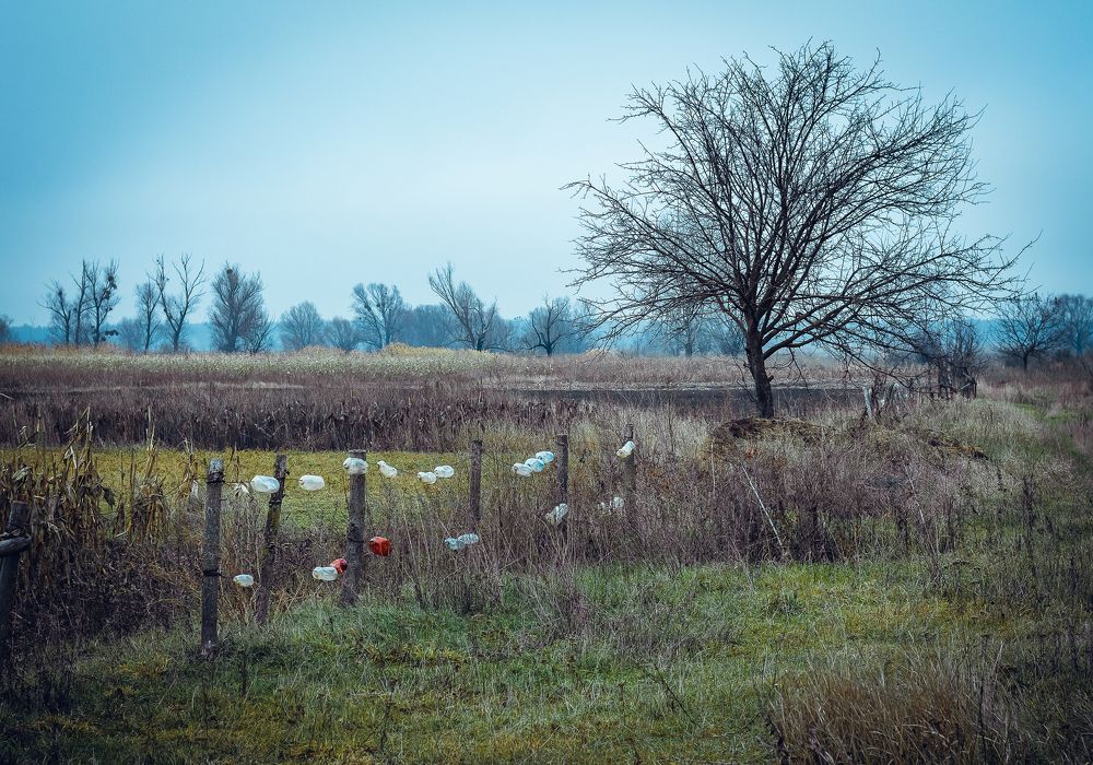 Photograph by Богдан Прохоренко