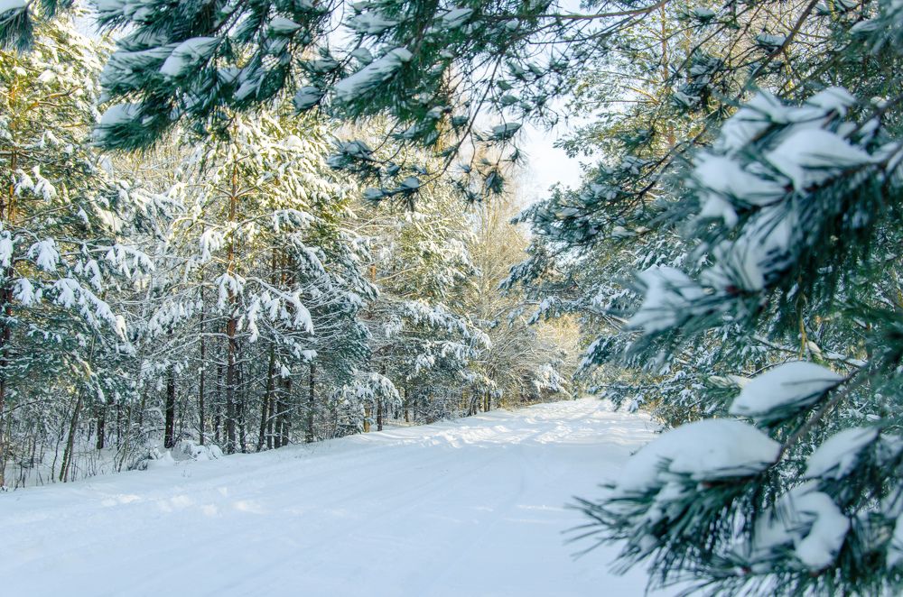 Photograph by Виктор Карпов