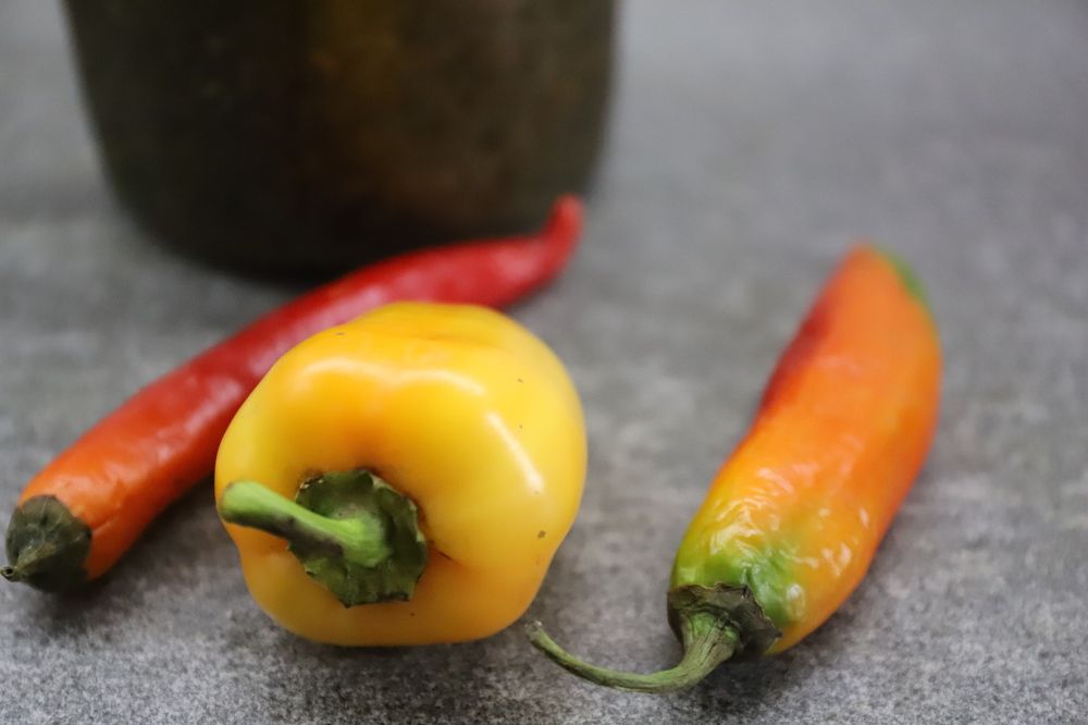 Photograph by Valery Bogushev