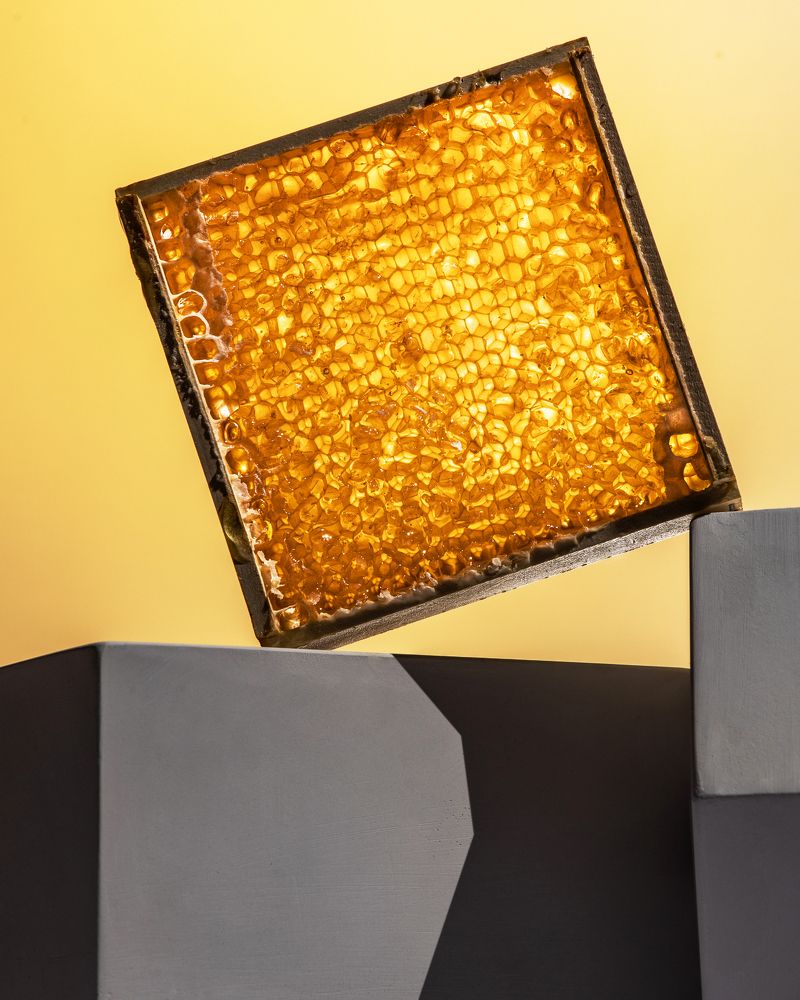 Photograph by Konstantin Morozov