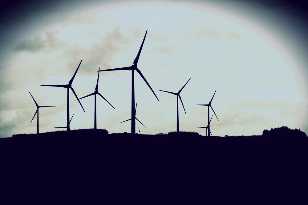 Photograph by Peter Hayes