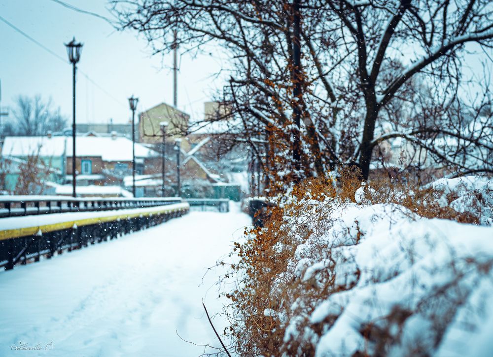 Photograph by Богдан Прохоренко