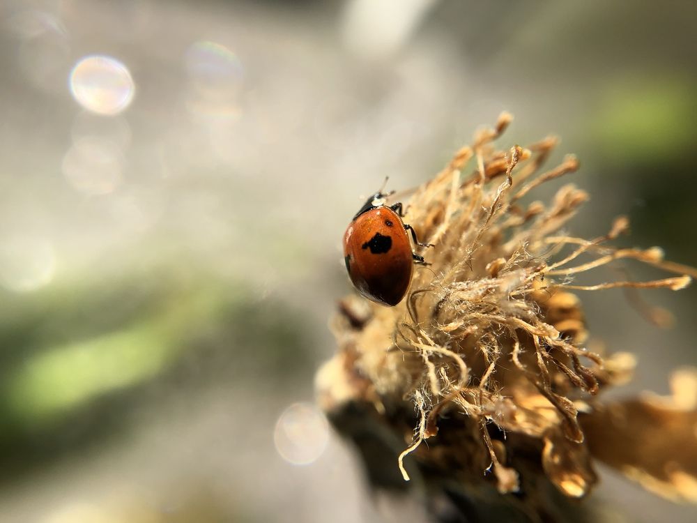 Photograph by Юлия Отставнова