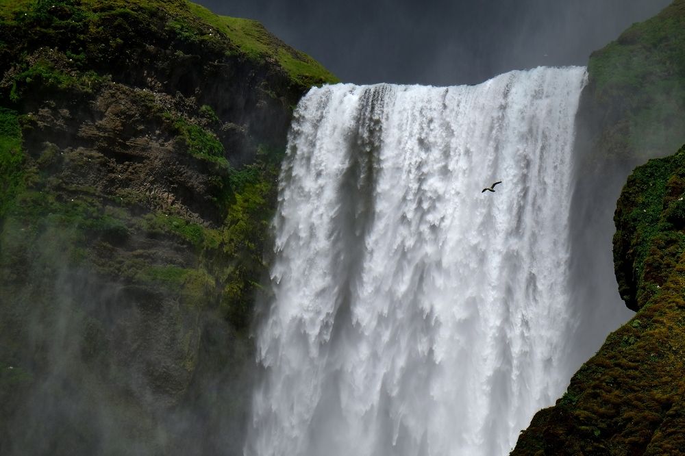 Photograph by Леонид Петруша