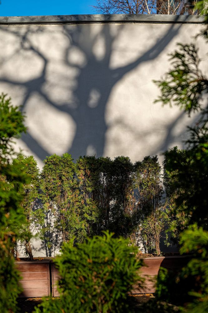 Фотография автора Vitaly Minaker