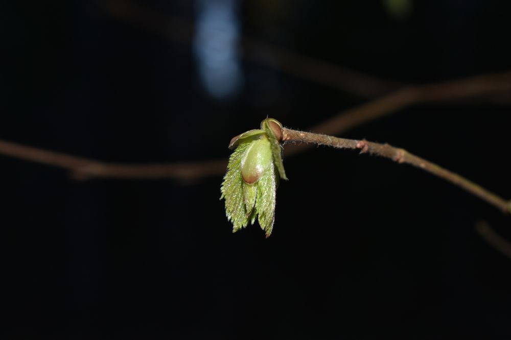 Photograph by Сергей Головин