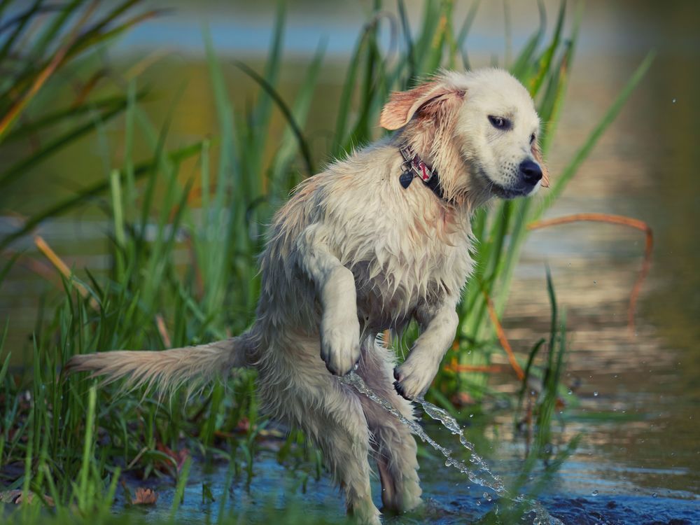 Photograph by Алексей Горшенин