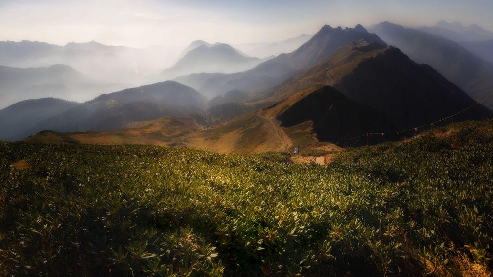 Photograph by ОЛЬГА КОВАЛЁВА