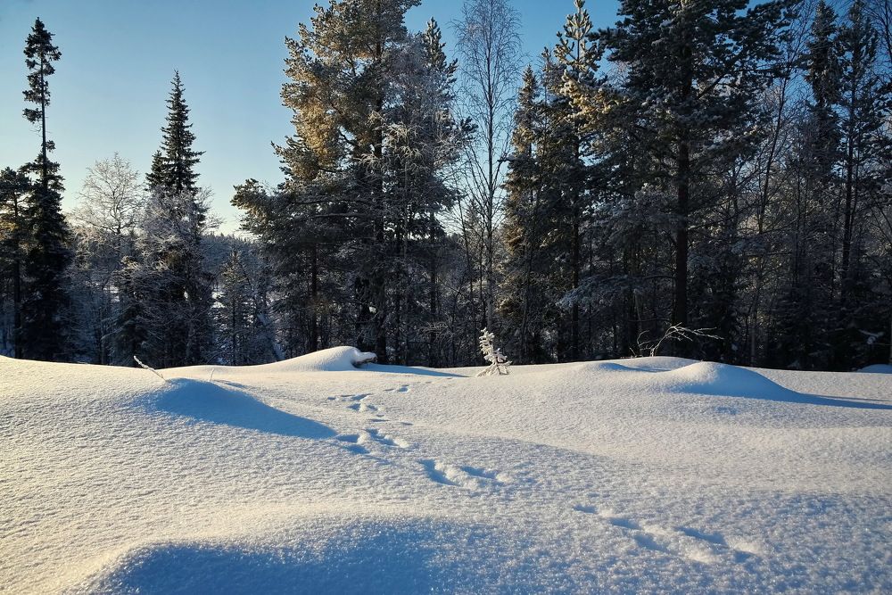 Photograph by Юрий Платухин