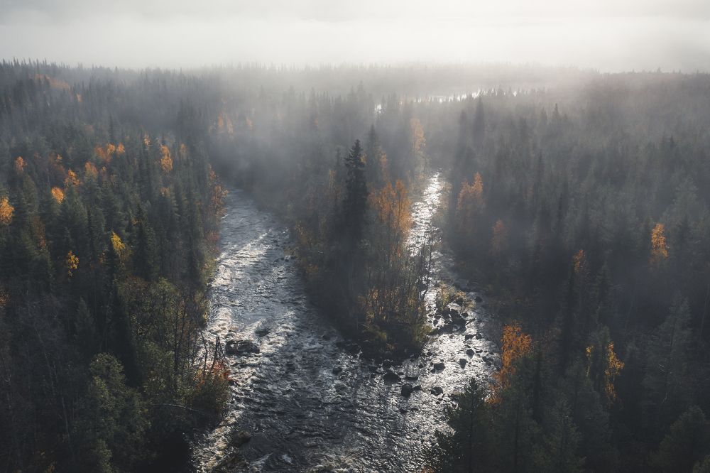 Photograph by Андрей Сачков