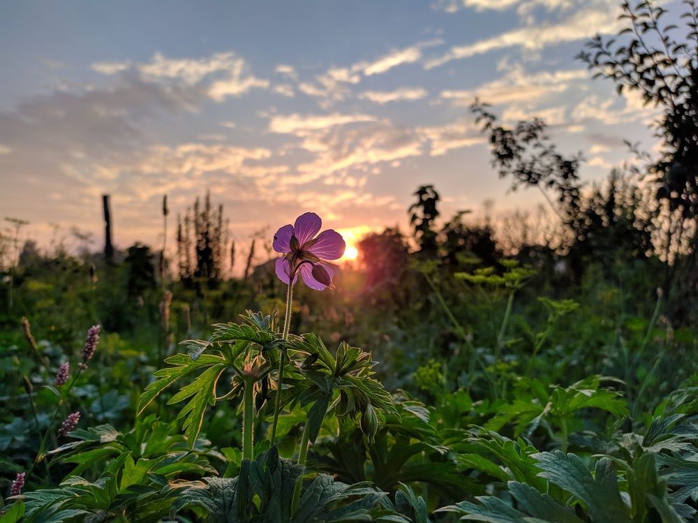 Photograph by Валерія Колосович