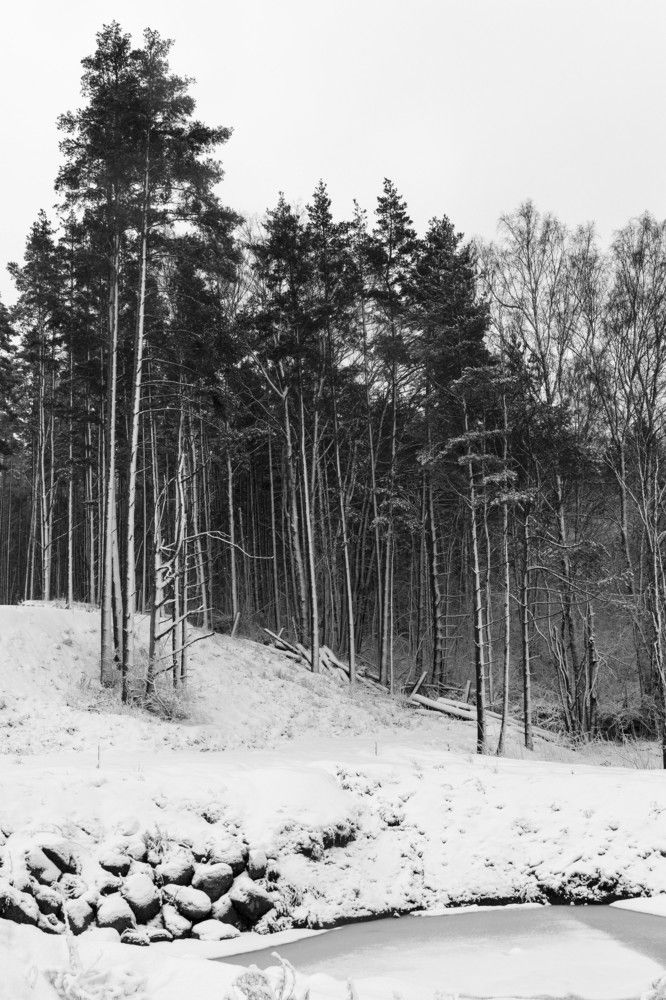 Photograph by Юлия Курская