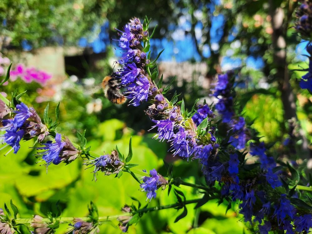 Photograph by Иван Стольников