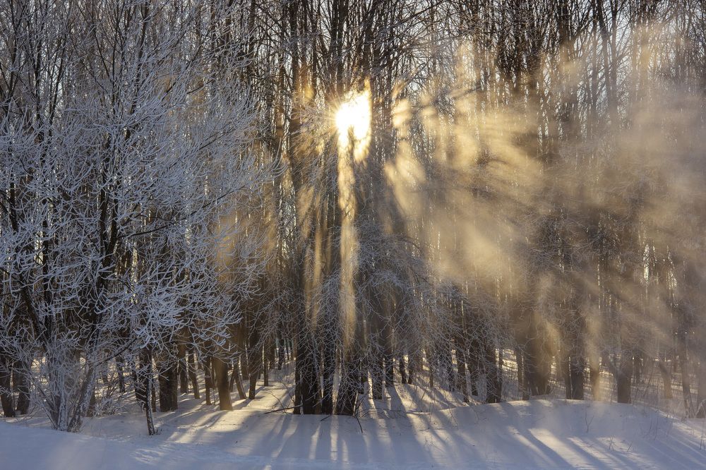 Sunlight and frost.   Свет солнца и мороз.