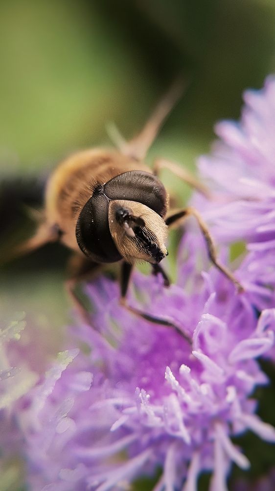 Photograph by Ирина Иванова