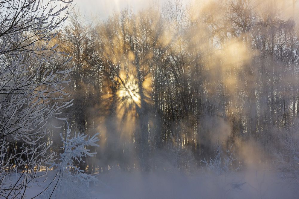 Sun rays. Солнечные лучи.
