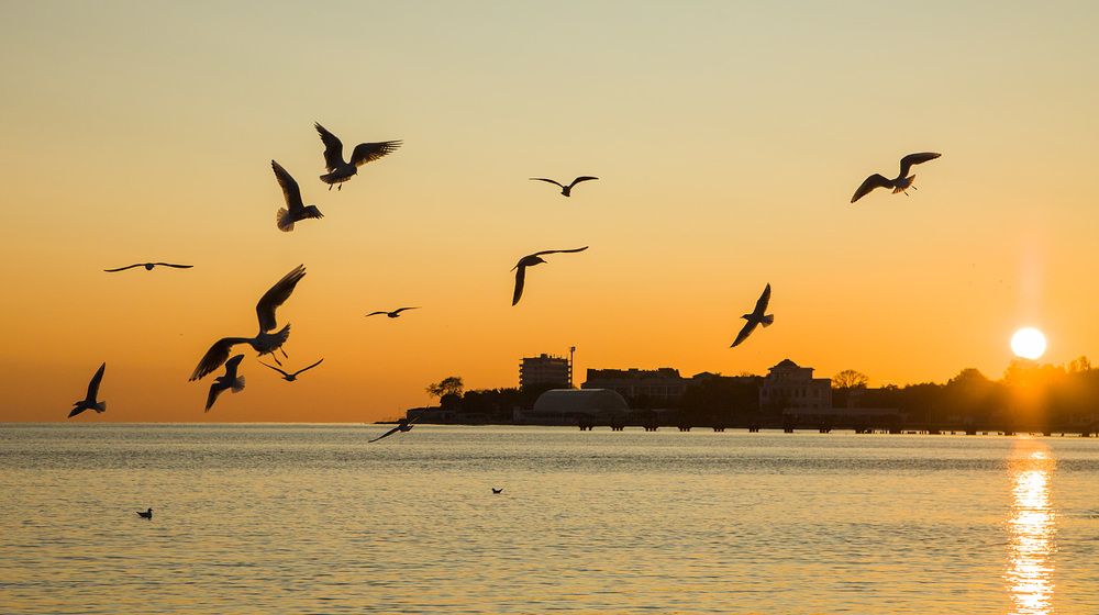 Photograph by Елена Покрепа