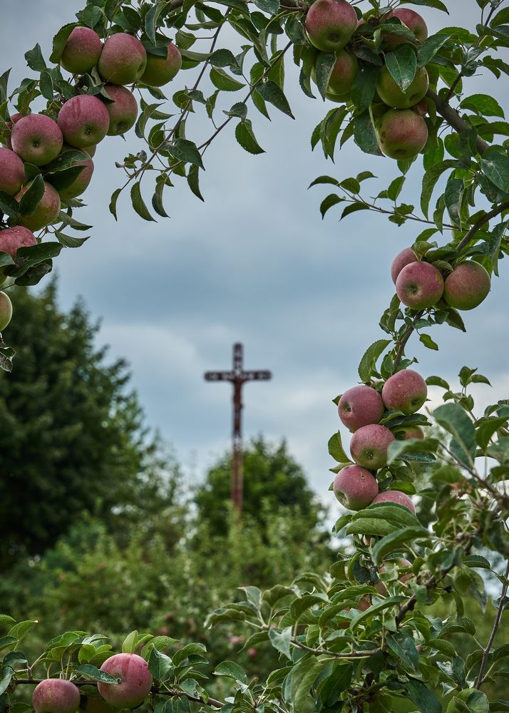 Photograph by Natalia Ghimp