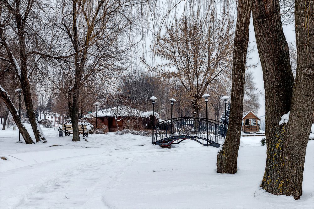 Photograph by Александр Стрельченко