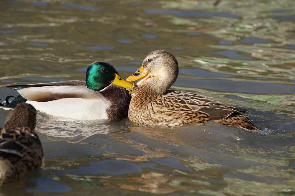 Photograph by Александр Архиреев