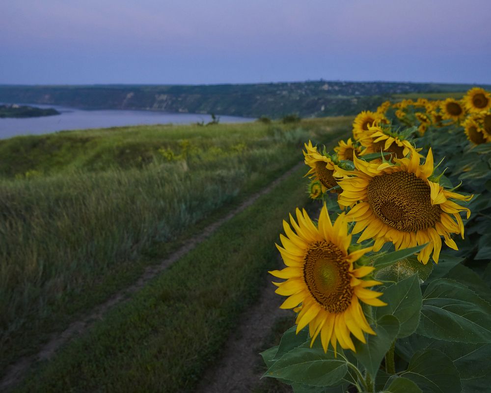 Photograph by Natalia Ghimp