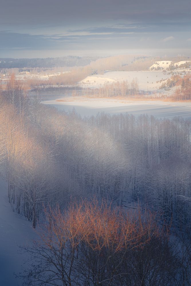 Фотография автора Светлана Морозова
