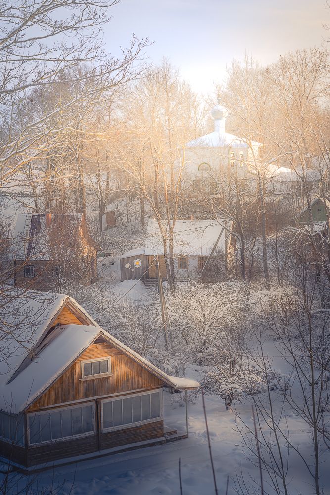 Фотография автора Светлана Морозова