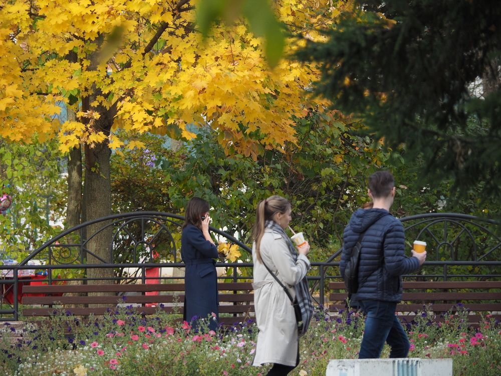 Photograph by Алексей Крылатых