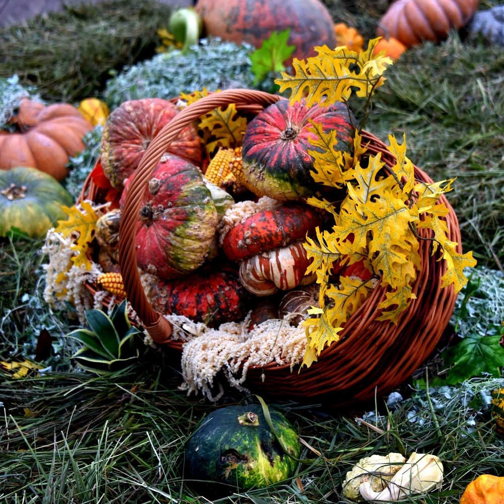 Photograph by Дмитрий Розенбаум